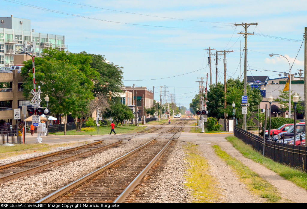 Royal Oak Tracks